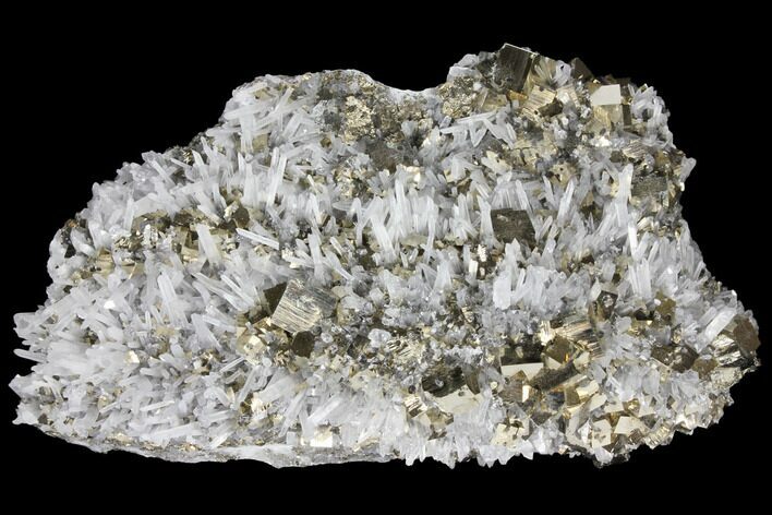 9.1" Cubic Pyrite and Quartz Crystal Association - Peru
